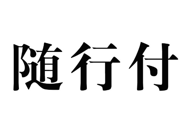 随行付支付有限公司